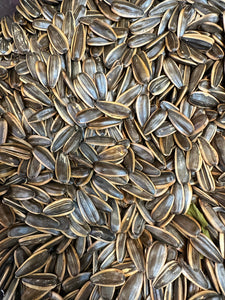 4007 Hạt Hướng Dương Trà Đỏ  Red Tea Sunflower Seeds