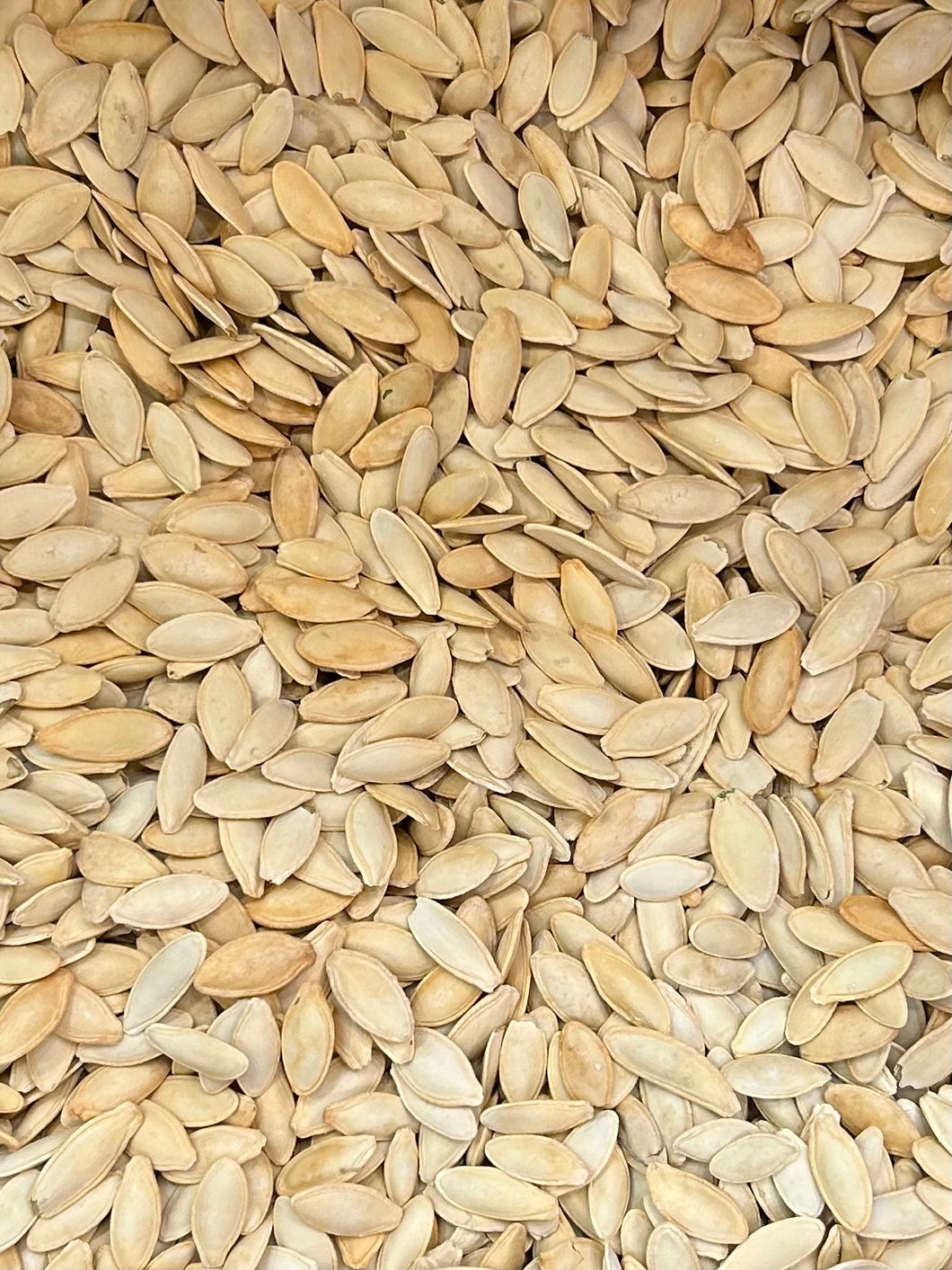 #4005 - Golden Melon Seeds- hột bí vàng.